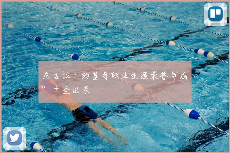 尼古拉·约基奇职业生涯荣誉与成就全记录