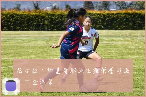尼古拉·约基奇职业生涯荣誉与成就全记录