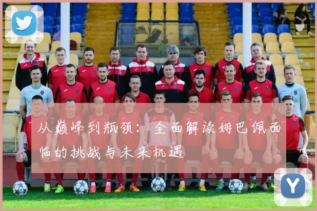 从巅峰到瓶颈:全面解读姆巴佩面临的挑战与未来机遇