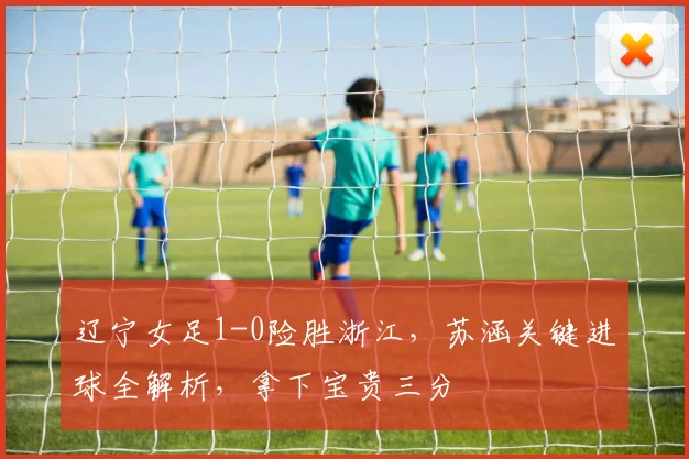辽宁女足1-0险胜浙江,苏涵关键进球全解析,拿下宝贵三分