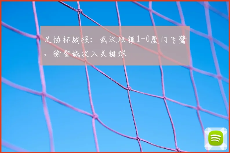 足协杯战报:武汉联镇1-0厦门飞鹭,徐智诚攻入关键球