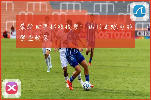 最新世界杯短视频:热门进球与花絮全收录
